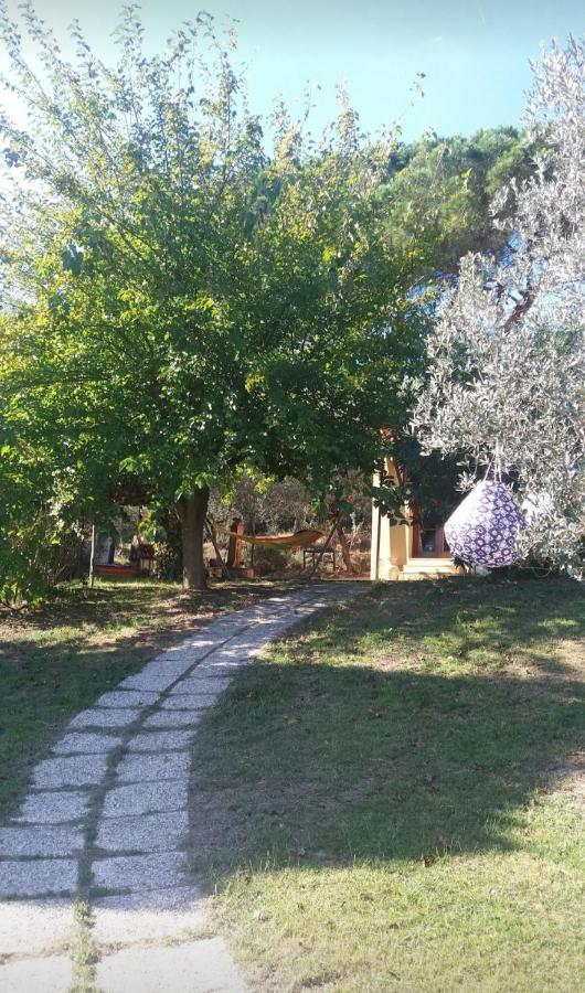 Casa Gelsomino Lägenhet Scandicci Exteriör bild